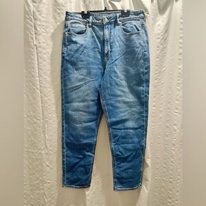 AE Mom Blue Jeans